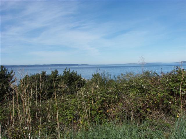 Puget Sound #4 of 15 (#3672)