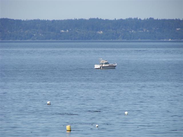 Puget Sound #6 of 15 (#3674)