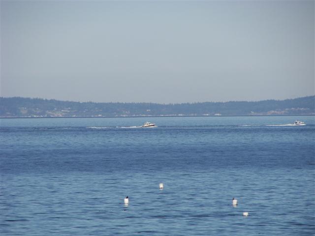 Puget Sound #11 of 15 (#3680)