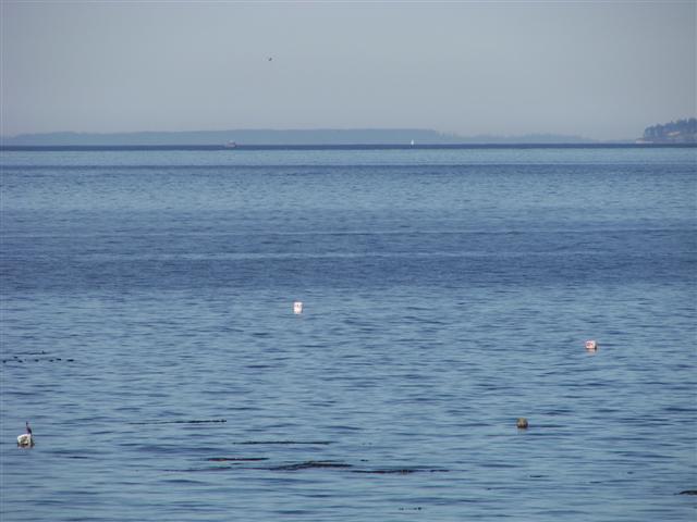 Puget Sound #12 of 15 (#3681)