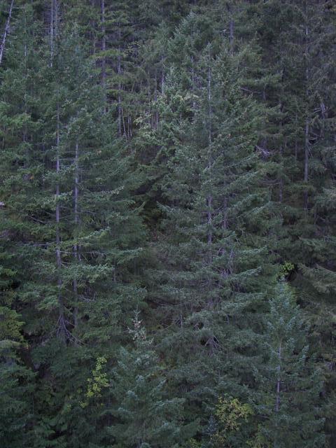 North Cascades National Park in Washington state #12 of 44 (#3709)