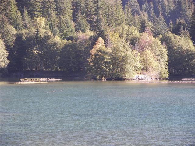 North Cascades National Park in Washington state #26 of 44 (#3725)