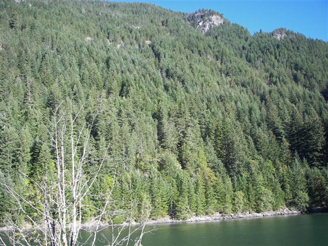 North Cascades National Park in Washington state #30 of 44 (#3729)