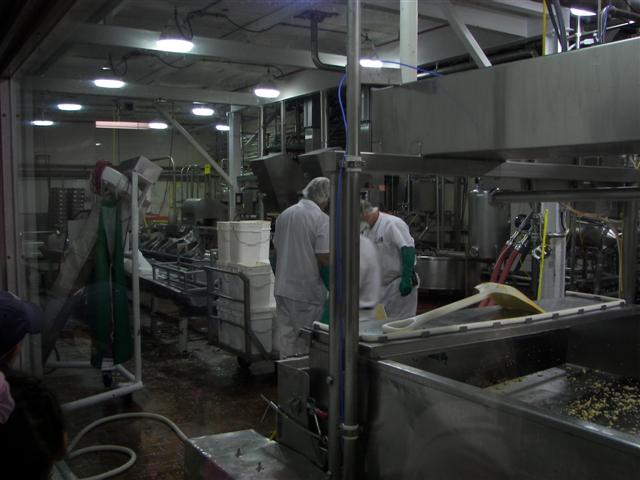 Cabot Creamery at Work #1 of 6 (#1062)