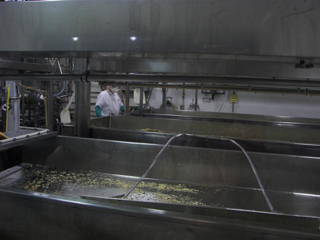 Cabot Creamery at Work #2 of 6 (#1063)