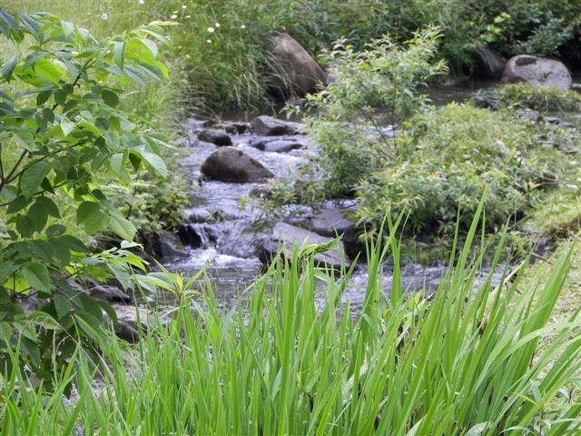 Property surrounding Kirby House #1 of 7 (#1073)