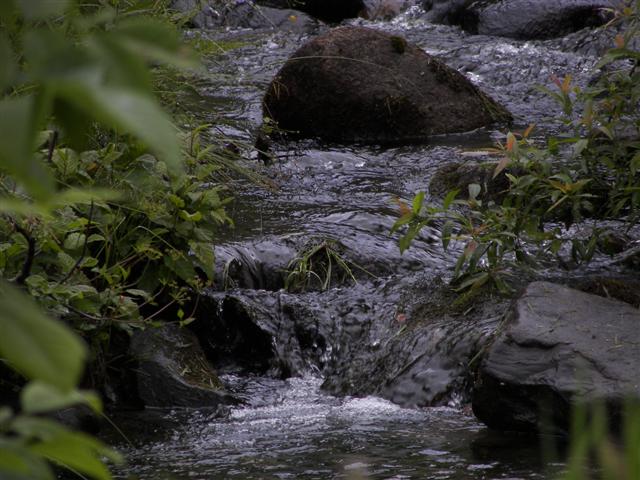 Property surrounding Kirby House #2 of 7 (#1074)