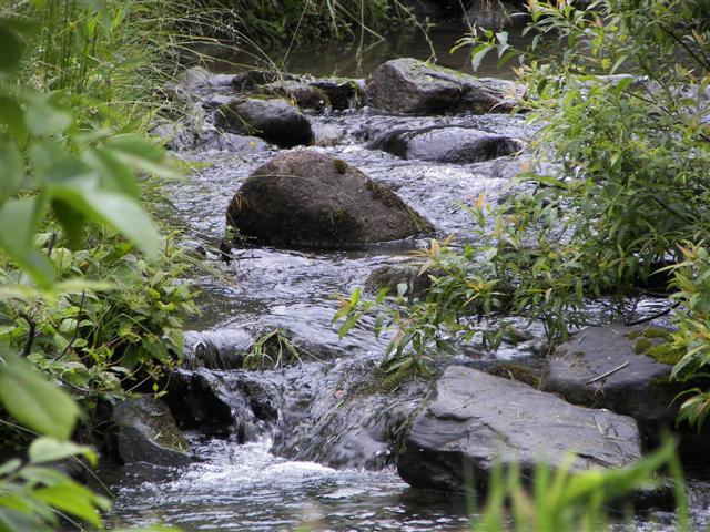 Property surrounding Kirby House #3 of 7 (#1075)