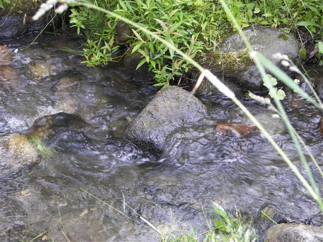 Property surrounding Kirby House #4 of 7 (#1076)