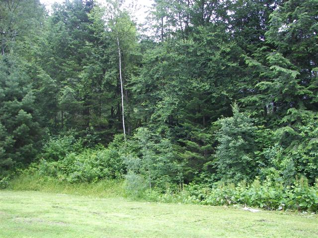 Property surrounding Kirby House #5 of 7 (#1078)