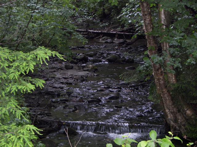 Property surrounding Kirby House #6 of 7 (#1080)