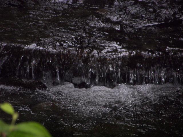 Property surrounding Kirby House #7 of 7 (#1081)