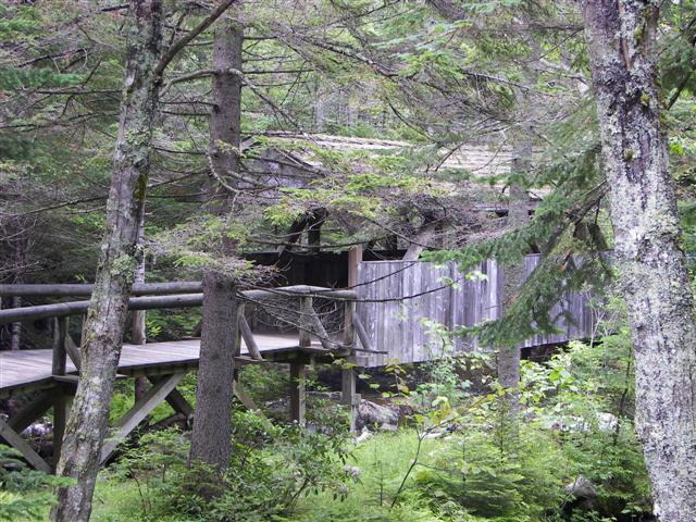 Lost River native flowers #15 of 15 (#1113)