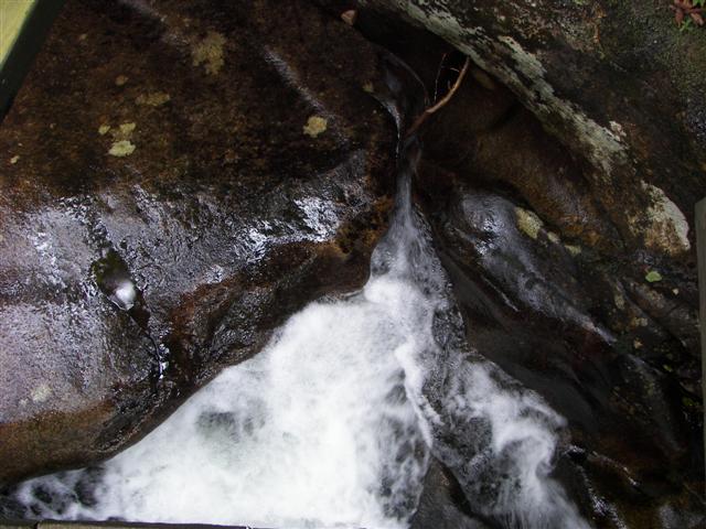 Lost River Gorge and its boardwalk #5 of 24 (#1119)