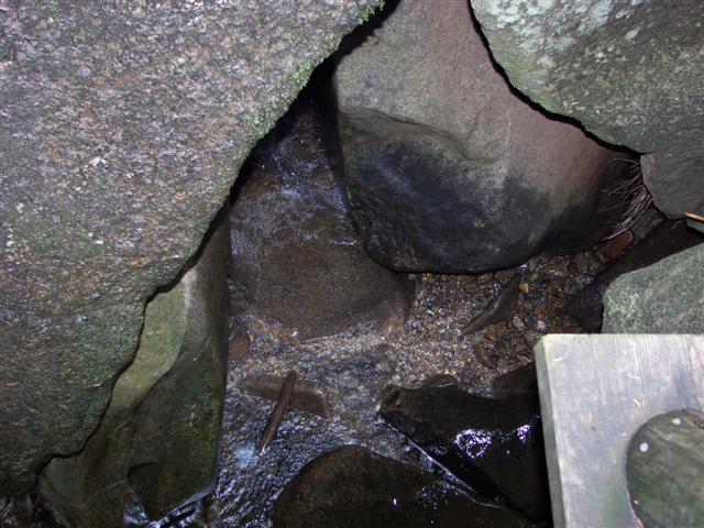 Lost River Gorge and its boardwalk #10 of 24 (#1126)