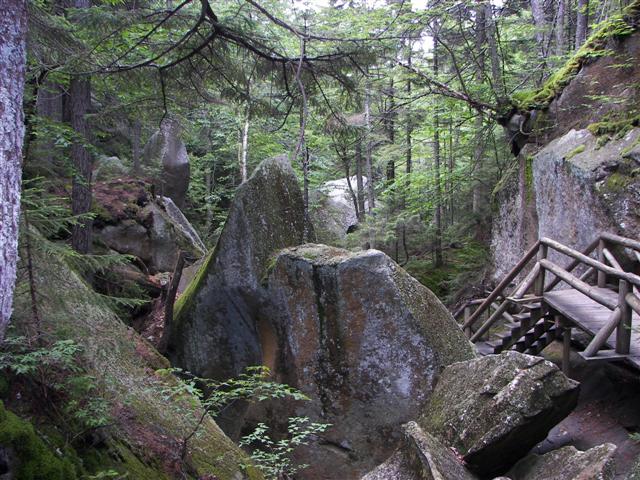 Lost River Gorge and its boardwalk #12 of 24 (#1128)