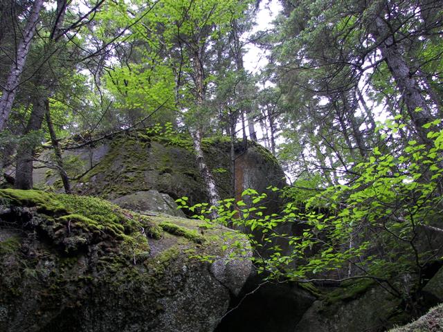 Lost River Gorge and its boardwalk #13 of 24 (#1129)