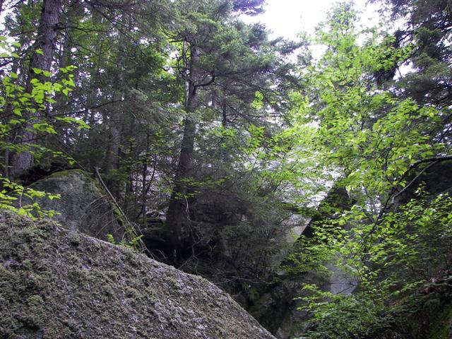 Lost River Gorge and its boardwalk #14 of 24 (#1130)