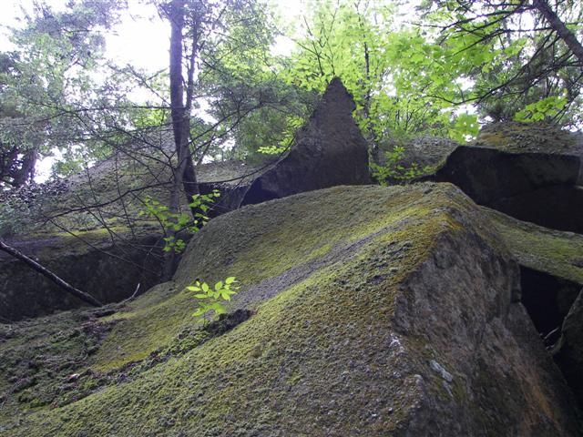 Lost River Gorge and its boardwalk #15 of 24 (#1131)