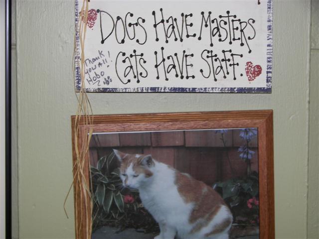 Cats Have Staff Tram (#1144)