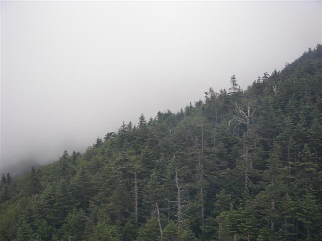 Cannon Mtn Aerial Tramway from the top and going down #9 of 12 (#1170)