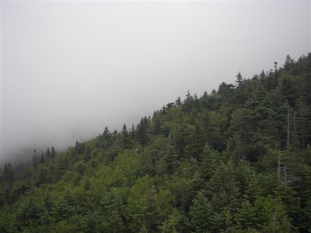 Cannon Mtn Aerial Tramway from the top and going down #10 of 12 (#1171)