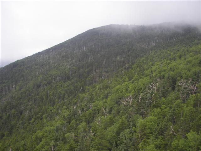 Cannon Mtn Aerial Tramway from the top and going down #11 of 12 (#1172)