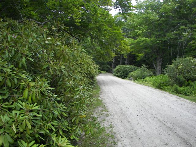 Fells Historic Garden Estate #4 of 31 (#1182)