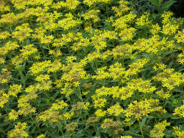 Fells Historic Garden Estate #9 of 31 (#1194)