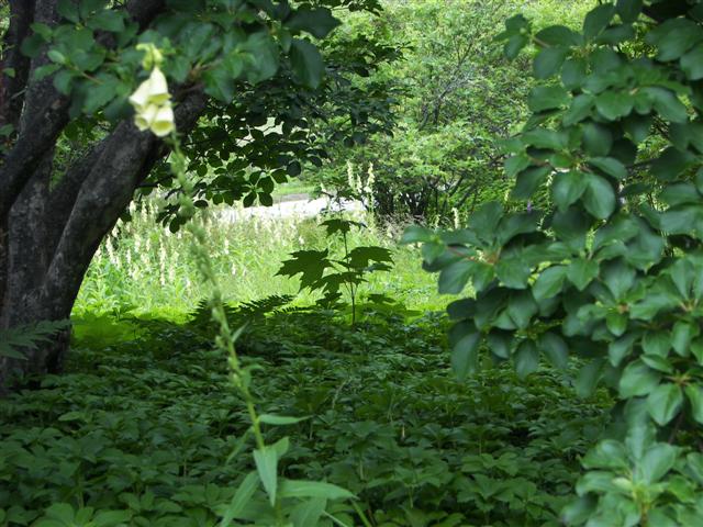 Fells Historic Garden Estate #14 of 31 (#1200)