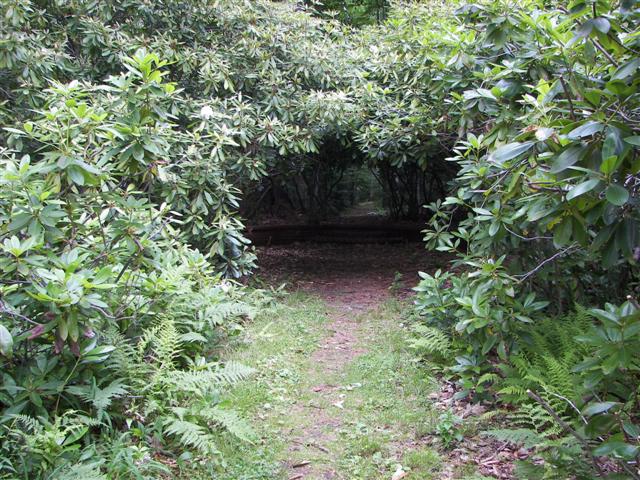 Fells Historic Garden Estate #16 of 31 (#1202)