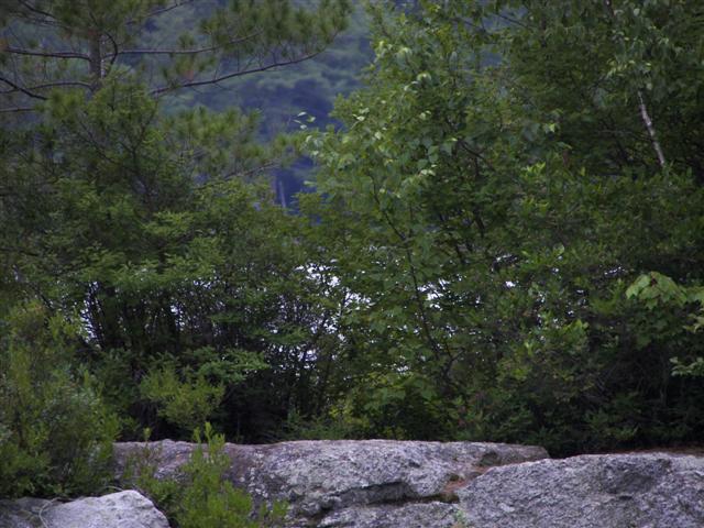 Lake Sunapee at Fells Estate in Newbury NH #7 of 12 (#1217)