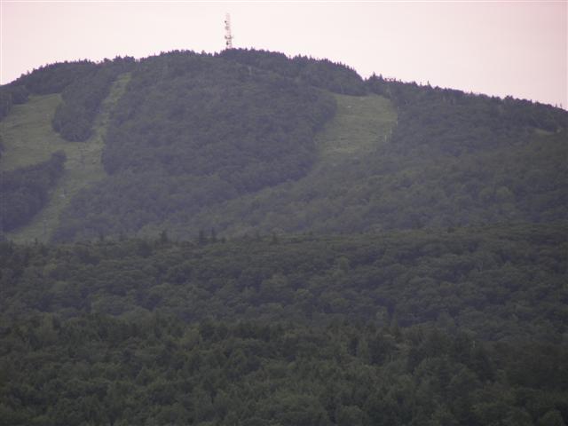 Fells Historic Garden Estate #23 of 31 (#1218)