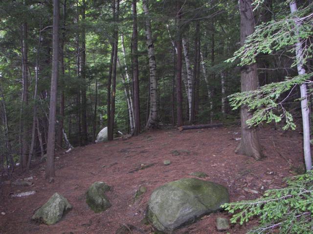 Fells Historic Garden Estate #25 of 31 (#1221)