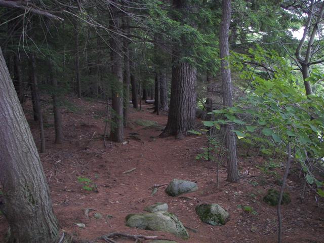 Fells Historic Garden Estate #26 of 31 (#1222)