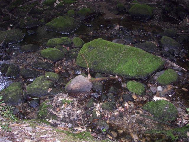 Fells Historic Garden Estate #27 of 31 (#1228)