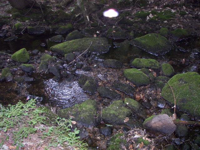 Fells Historic Garden Estate #28 of 31 (#1229)