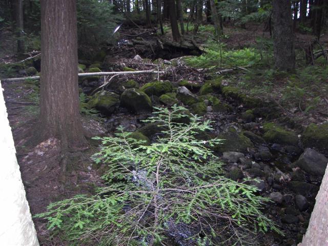 Fells Historic Garden Estate #29 of 31 (#1230)