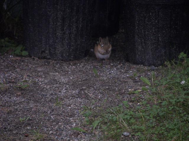 Fells Historic Garden Estate #30 of 31 (#1231)