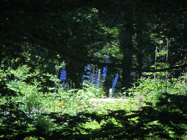 Marsh-Billings-Rockerfeller Mansion Gardens #2 of 31 (#1281)