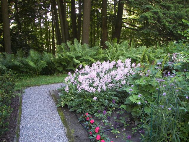 Marsh-Billings-Rockerfeller Mansion Gardens #5 of 31 (#1284)