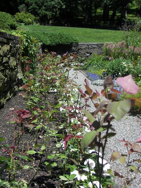 Marsh-Billings-Rockerfeller Mansion Gardens #8 of 31 (#1287)