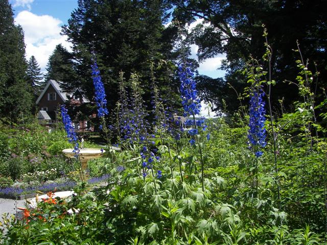 Marsh-Billings-Rockerfeller Mansion Gardens #17 of 31 (#1296)