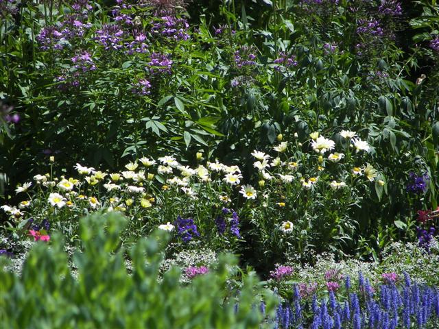 Marsh-Billings-Rockerfeller Mansion Gardens #27 of 31 (#1306)