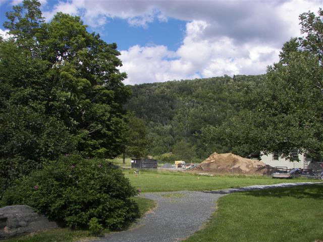 Flowers in Plymouth VT #2 of 2 (#1332)