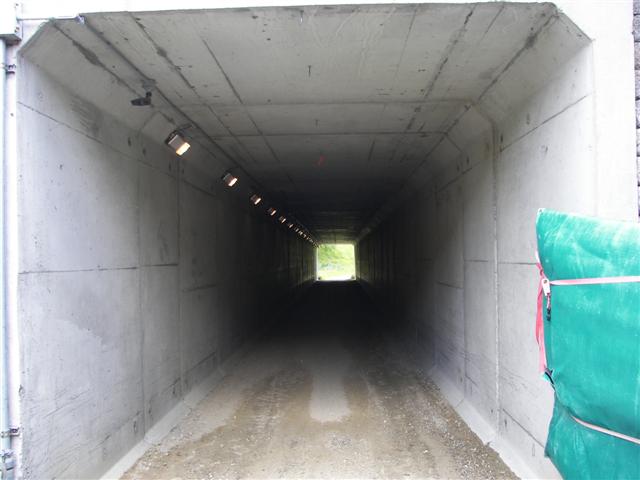 Scenery along the paths at Great Glen Trails near Gorham NH #2 of 27 (#1399)