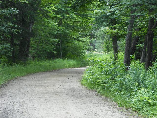 Scenery along the paths at Great Glen Trails near Gorham NH #7 of 27 (#1404)