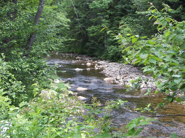 Scenery along the paths at Great Glen Trails near Gorham NH #9 of 27 (#1406)