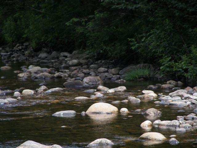 Scenery along the paths at Great Glen Trails near Gorham NH #10 of 27 (#1407)