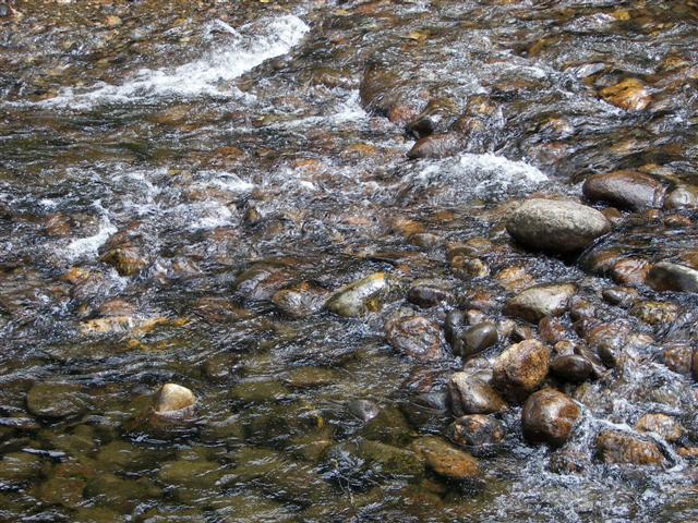 Scenery along the paths at Great Glen Trails near Gorham NH #11 of 27 (#1408)